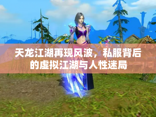 天龙江湖再现风波，私服背后的虚拟江湖与人性迷局