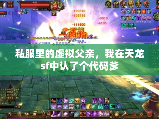 私服里的虚拟父亲，我在天龙sf中认了个代码爹