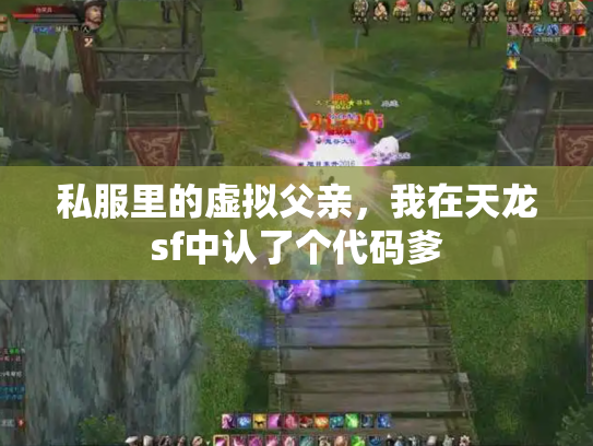 私服里的虚拟父亲，我在天龙sf中认了个代码爹