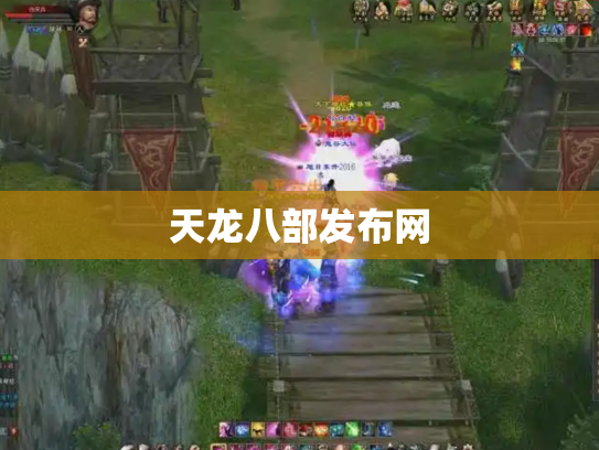 天龙八部发布网