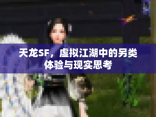 天龙SF，虚拟江湖中的另类体验与现实思考