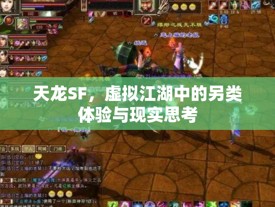 天龙SF，虚拟江湖中的另类体验与现实思考