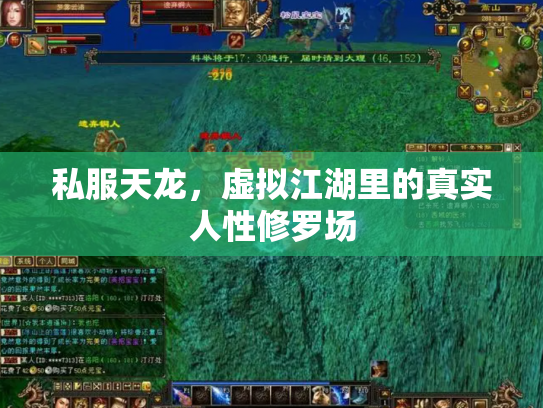 私服天龙，虚拟江湖里的真实人性修罗场
