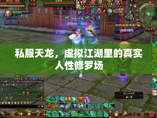 私服天龙，虚拟江湖里的真实人性修罗场