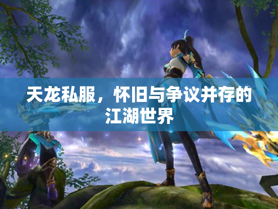 天龙私服，怀旧与争议并存的江湖世界