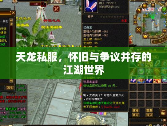 天龙私服，怀旧与争议并存的江湖世界