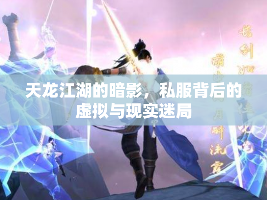 天龙江湖的暗影，私服背后的虚拟与现实迷局