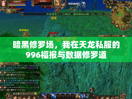 暗黑修罗场，我在天龙私服的996福报与数据修罗道