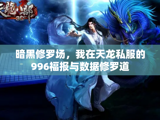 暗黑修罗场，我在天龙私服的996福报与数据修罗道