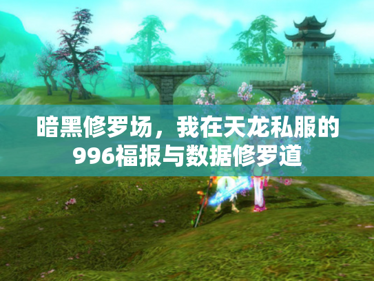 暗黑修罗场，我在天龙私服的996福报与数据修罗道