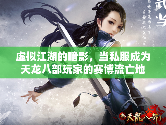 虚拟江湖的暗影，当私服成为天龙八部玩家的赛博流亡地