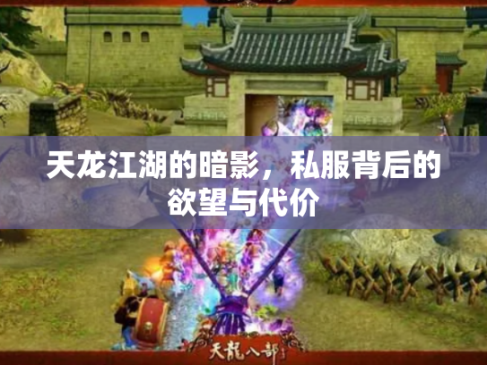 天龙江湖的暗影，私服背后的欲望与代价