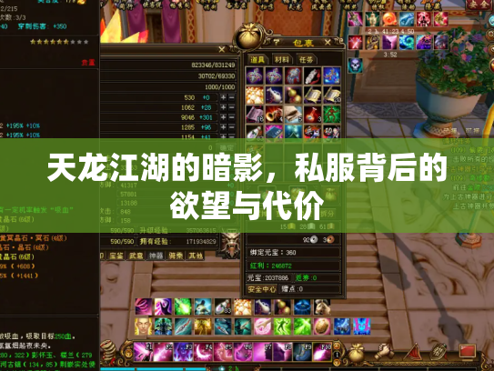 天龙江湖的暗影，私服背后的欲望与代价