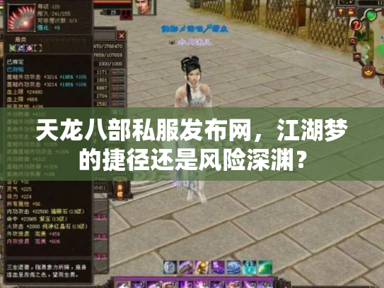 天龙八部私服发布网，江湖梦的捷径还是风险深渊？