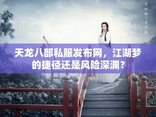 天龙八部私服发布网，江湖梦的捷径还是风险深渊？