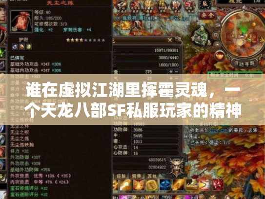 谁在虚拟江湖里挥霍灵魂，一个天龙八部SF私服玩家的精神流亡录