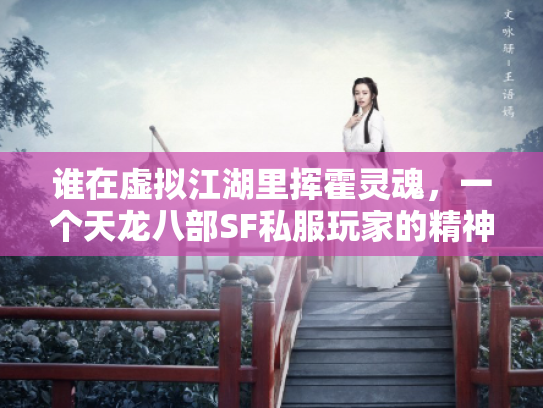 谁在虚拟江湖里挥霍灵魂，一个天龙八部SF私服玩家的精神流亡录