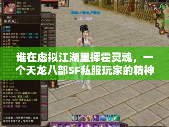 谁在虚拟江湖里挥霍灵魂，一个天龙八部SF私服玩家的精神流亡录