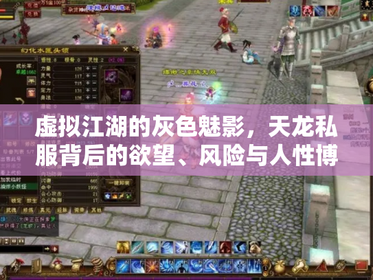 虚拟江湖的灰色魅影，天龙私服背后的欲望、风险与人性博弈