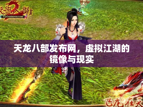 天龙八部发布网，虚拟江湖的镜像与现实