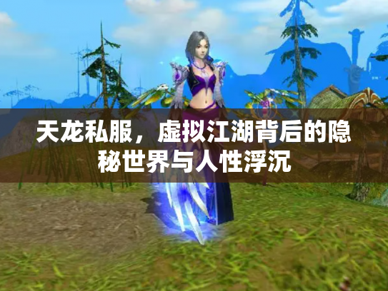 天龙私服，虚拟江湖背后的隐秘世界与人性浮沉