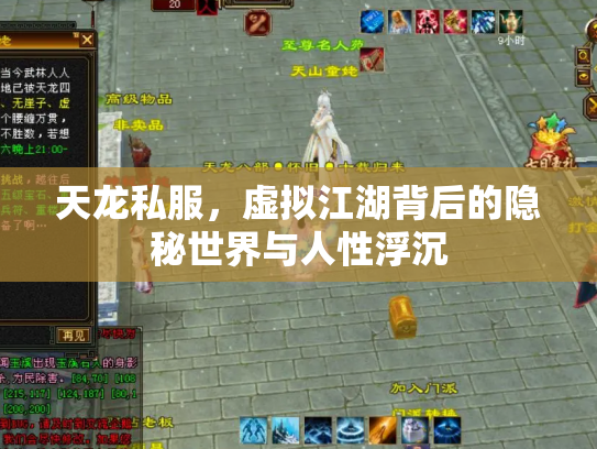 天龙私服，虚拟江湖背后的隐秘世界与人性浮沉