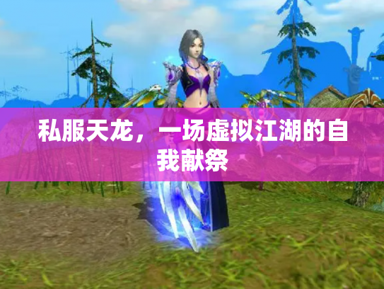私服天龙，一场虚拟江湖的自我献祭