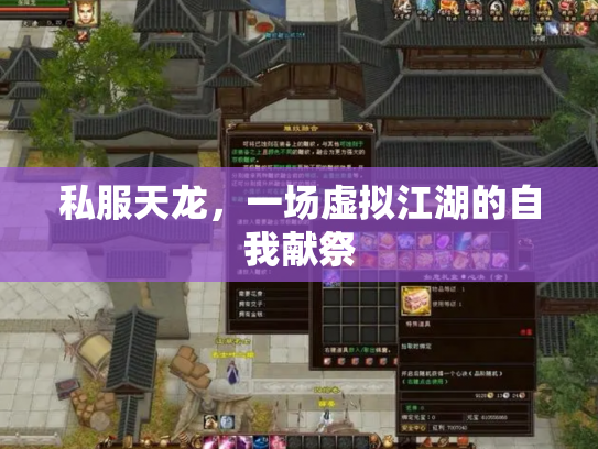 私服天龙，一场虚拟江湖的自我献祭