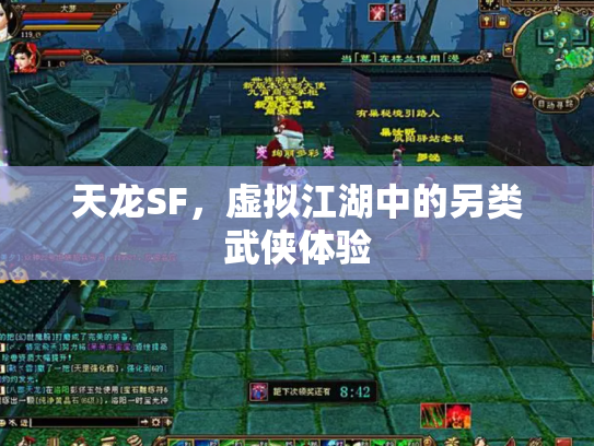 天龙SF，虚拟江湖中的另类武侠体验