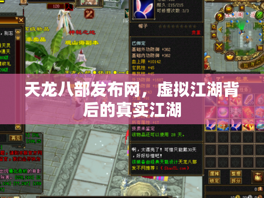 天龙八部发布网，虚拟江湖背后的真实江湖