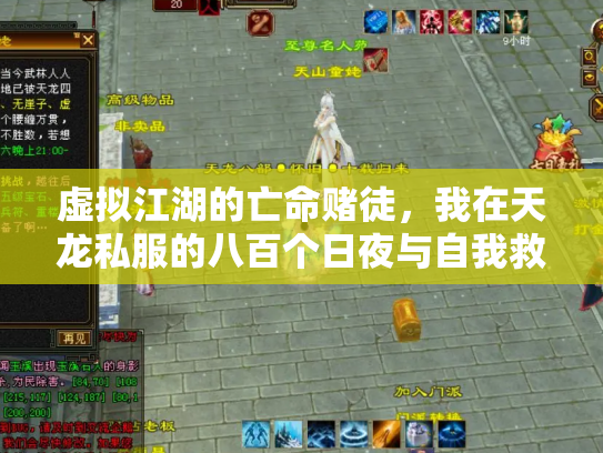 虚拟江湖的亡命赌徒，我在天龙私服的八百个日夜与自我救赎