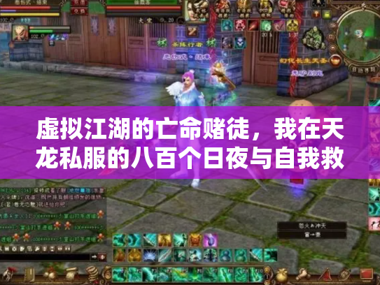 虚拟江湖的亡命赌徒，我在天龙私服的八百个日夜与自我救赎