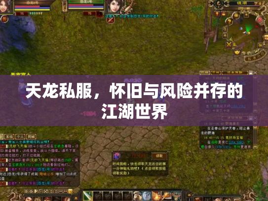 天龙私服，怀旧与风险并存的江湖世界