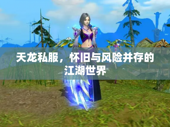 天龙私服，怀旧与风险并存的江湖世界