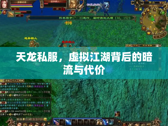 天龙私服，虚拟江湖背后的暗流与代价