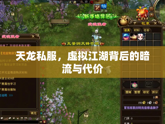 天龙私服，虚拟江湖背后的暗流与代价