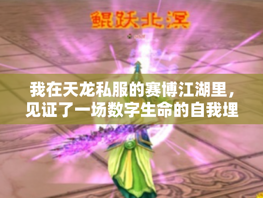 我在天龙私服的赛博江湖里，见证了一场数字生命的自我埋葬