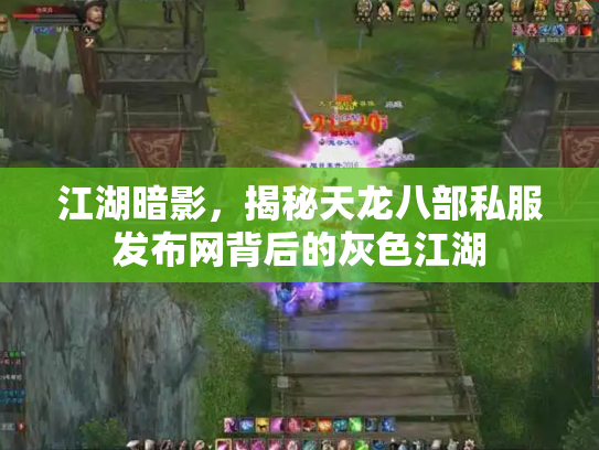 江湖暗影，揭秘天龙八部私服发布网背后的灰色江湖