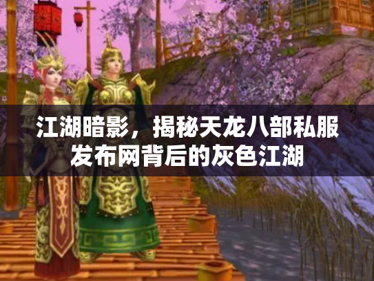 江湖暗影，揭秘天龙八部私服发布网背后的灰色江湖