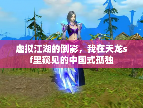 虚拟江湖的倒影，我在天龙sf里窥见的中国式孤独