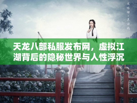 天龙八部私服发布网，虚拟江湖背后的隐秘世界与人性浮沉