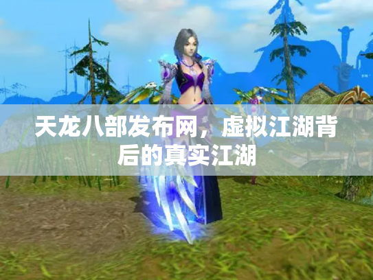 天龙八部发布网，虚拟江湖背后的真实江湖