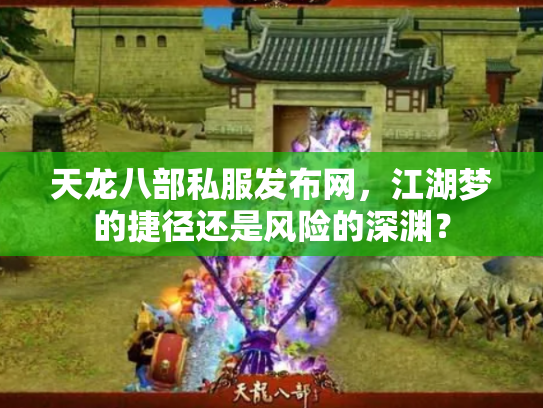 天龙八部私服发布网，江湖梦的捷径还是风险的深渊？