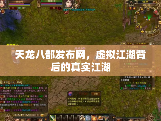 天龙八部发布网，虚拟江湖背后的真实江湖