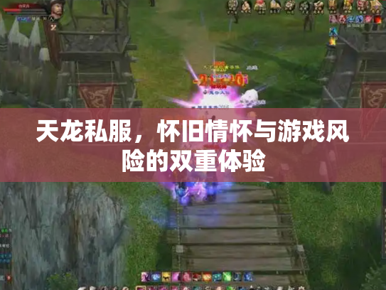 天龙私服，怀旧情怀与游戏风险的双重体验