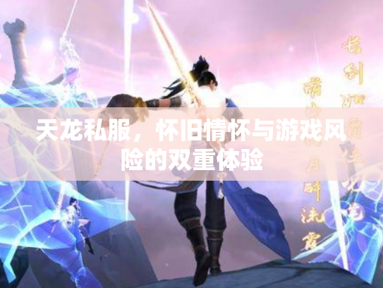 天龙私服，怀旧情怀与游戏风险的双重体验