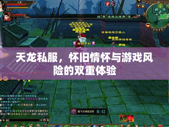天龙私服，怀旧情怀与游戏风险的双重体验