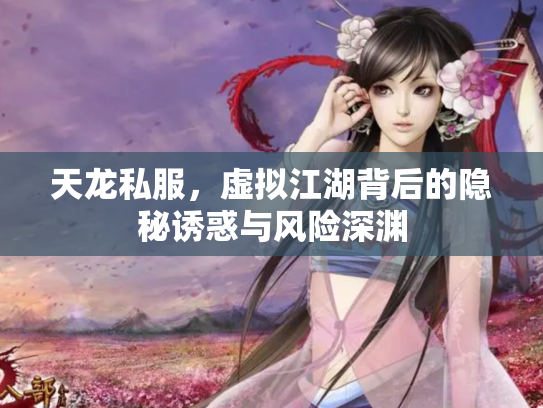 天龙私服，虚拟江湖背后的隐秘诱惑与风险深渊