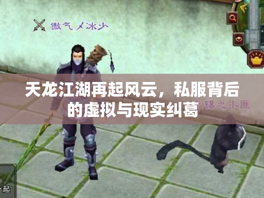 天龙江湖再起风云，私服背后的虚拟与现实纠葛