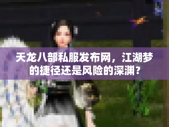 天龙八部私服发布网，江湖梦的捷径还是风险的深渊？